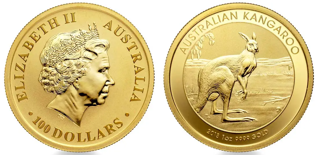 Australien Kangaroo